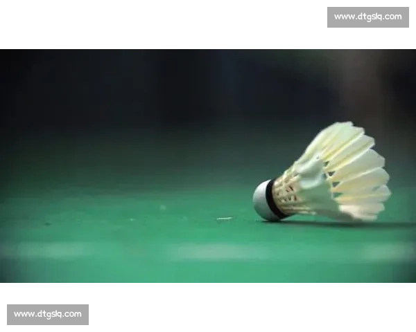 慢镜头抓不住的扣杀:时速 493 公里有多快? 慢镜头抓不住的扣杀:时速 493 公里有多快?